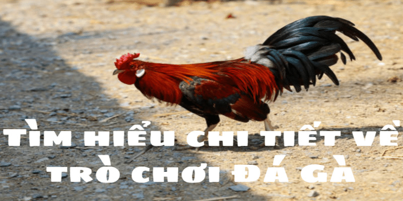 Tất tần tật từ lịch sử đến nguồn gốc của trò chơi này.